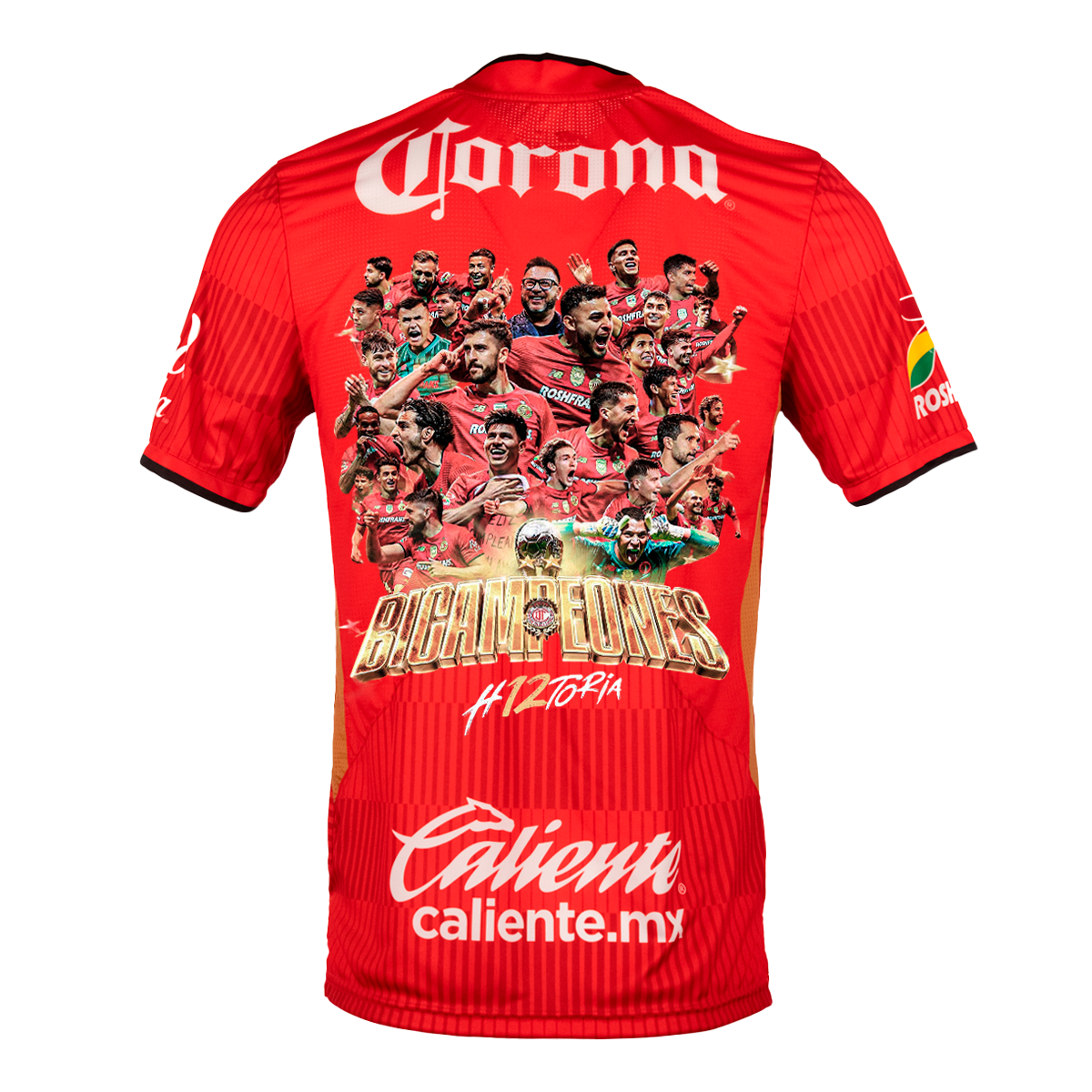 Toluca Home Kit