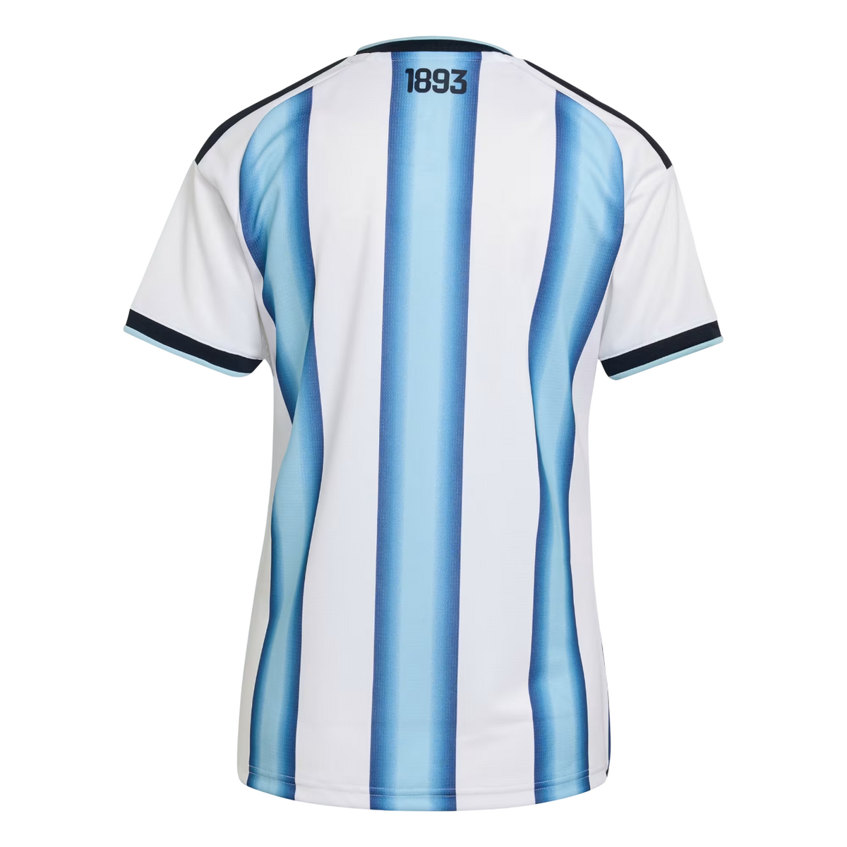 Camiseta Argentina Home Mundial 2026/27 Woman