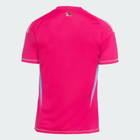 Flamengo Goalkeeper 25/26 Pink